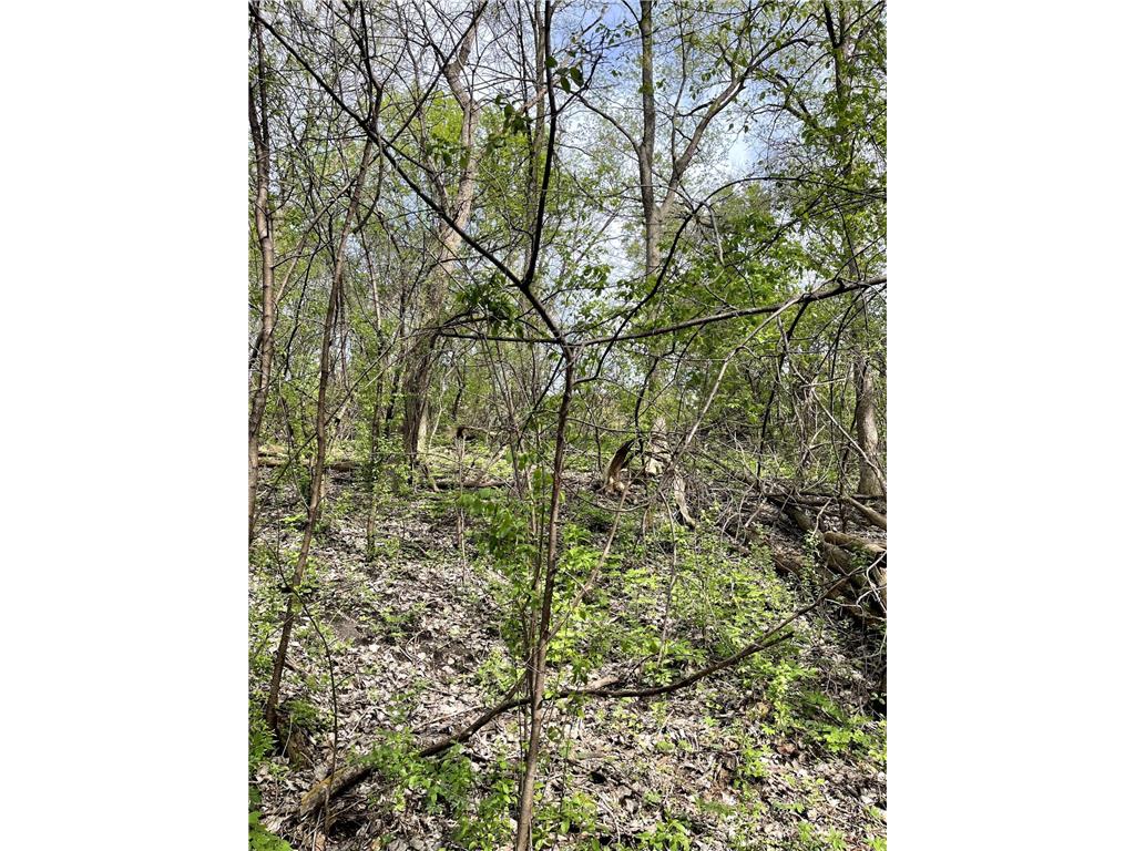 XXXX Woodhill Road Burnsville MN 55337 6726685 image23