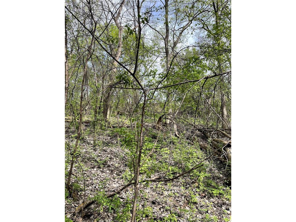 XXXX Woodhill Road Burnsville MN 55337 6726685 image24