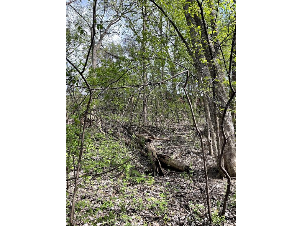 XXXX Woodhill Road Burnsville MN 55337 6726685 image25