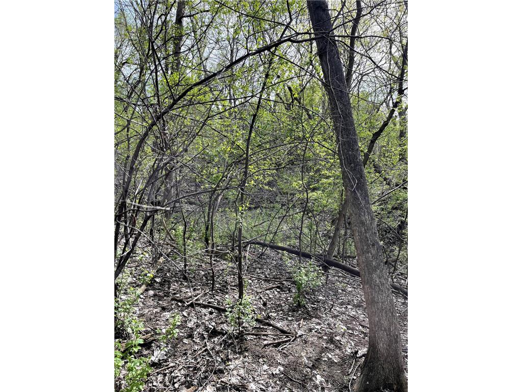 XXXX Woodhill Road Burnsville MN 55337 6726685 image27