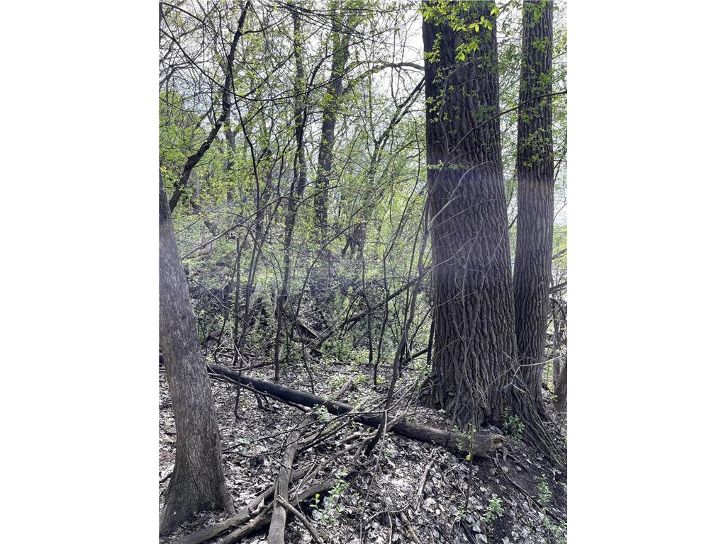 XXXX Woodhill Road Burnsville MN 55337 6726685 image28