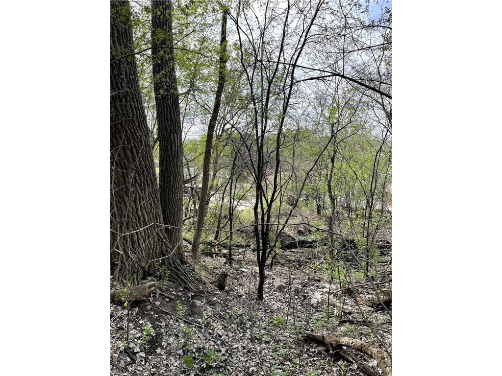 XXXX Woodhill Road Burnsville MN 55337 6726685 image29