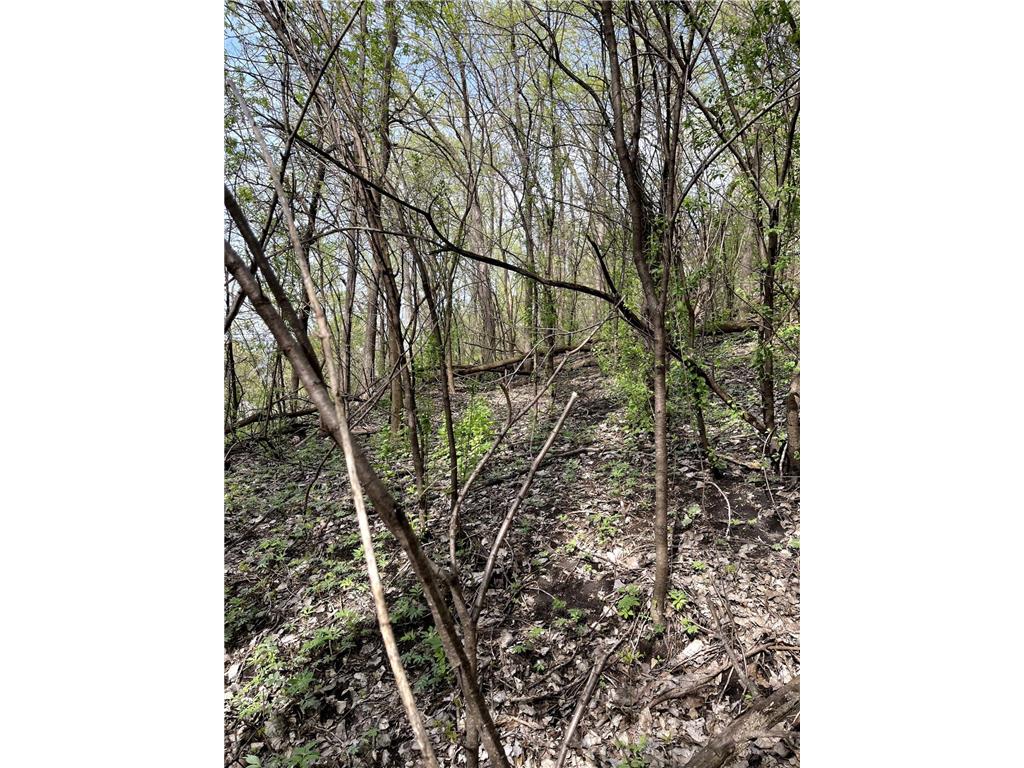 XXXX Woodhill Road Burnsville MN 55337 6726685 image30