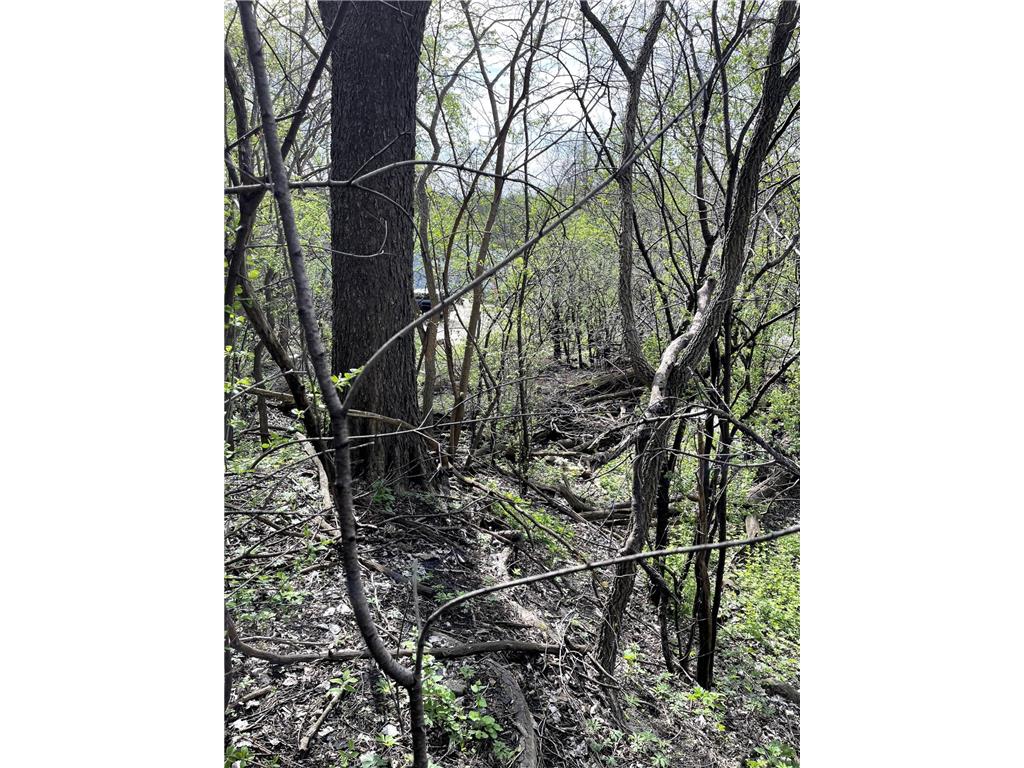 XXXX Woodhill Road Burnsville MN 55337 6726685 image31