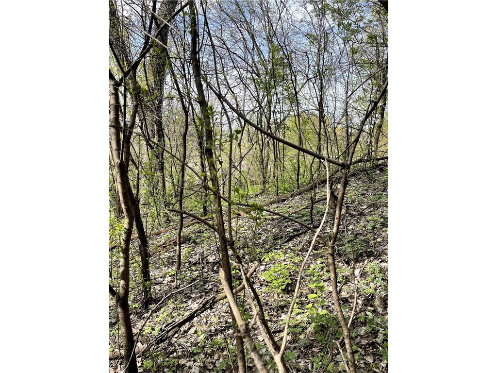 XXXX Woodhill Road Burnsville MN 55337 6726685 image32