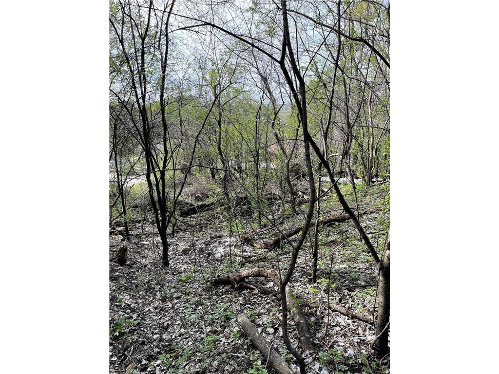 XXXX Woodhill Road Burnsville MN 55337 6726685 image33