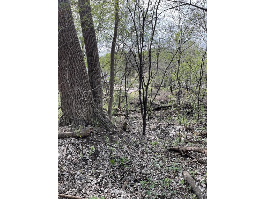 XXXX Woodhill Road Burnsville MN 55337 6726685 image34