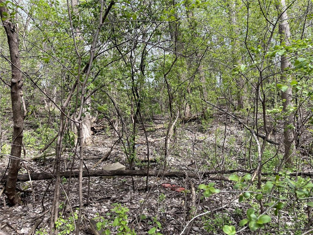 XXXX Woodhill Road Burnsville MN 55337 6726685 image6