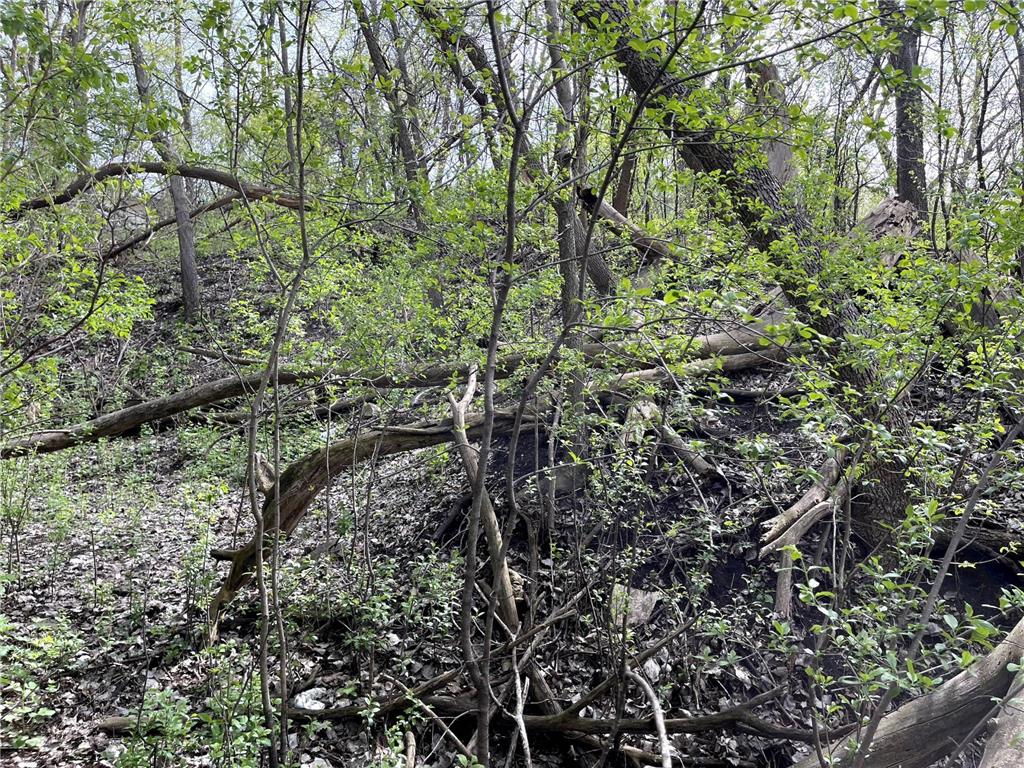 XXXX Woodhill Road Burnsville MN 55337 6726685 image7