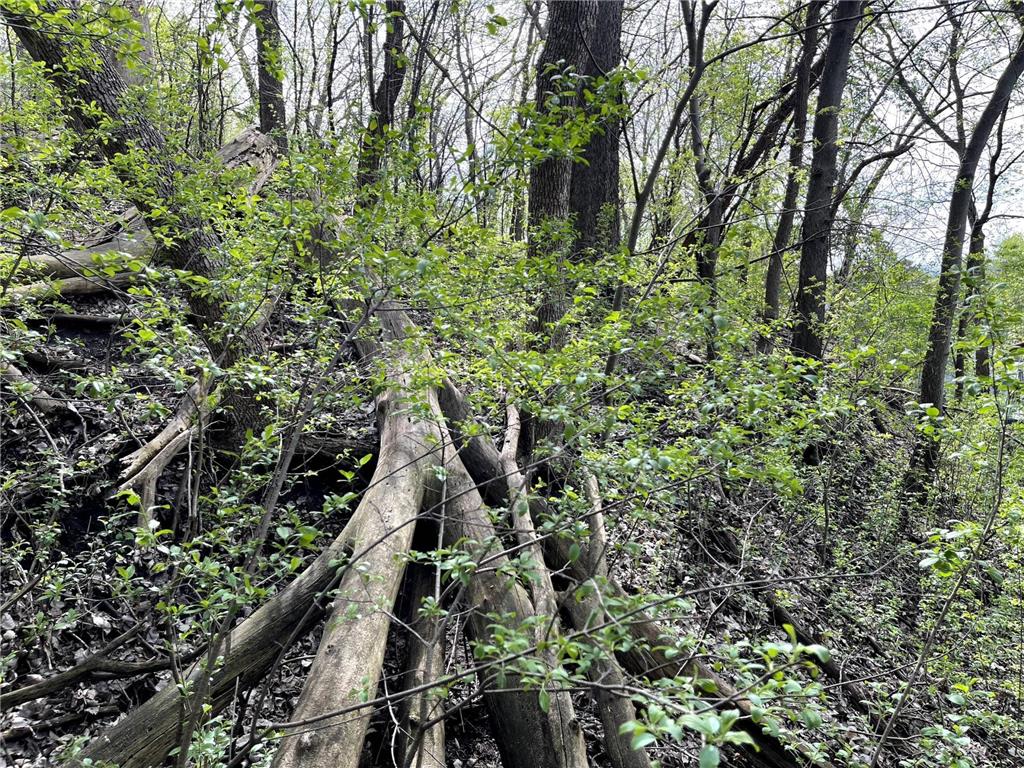 XXXX Woodhill Road Burnsville MN 55337 6726685 image8