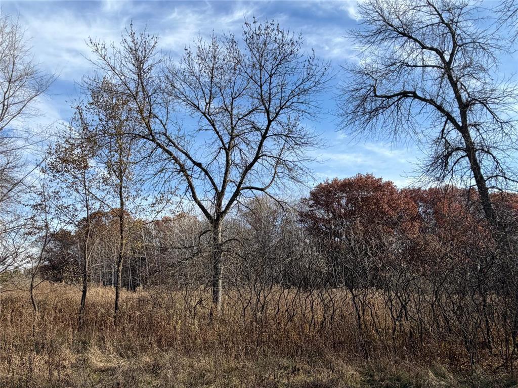 XXXX Xerus Street NW Zimmerman MN 55398 6817001 image1