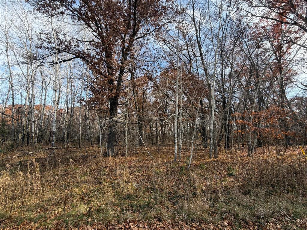 XXXX Xerus Street NW Zimmerman MN 55398 6817517 image2