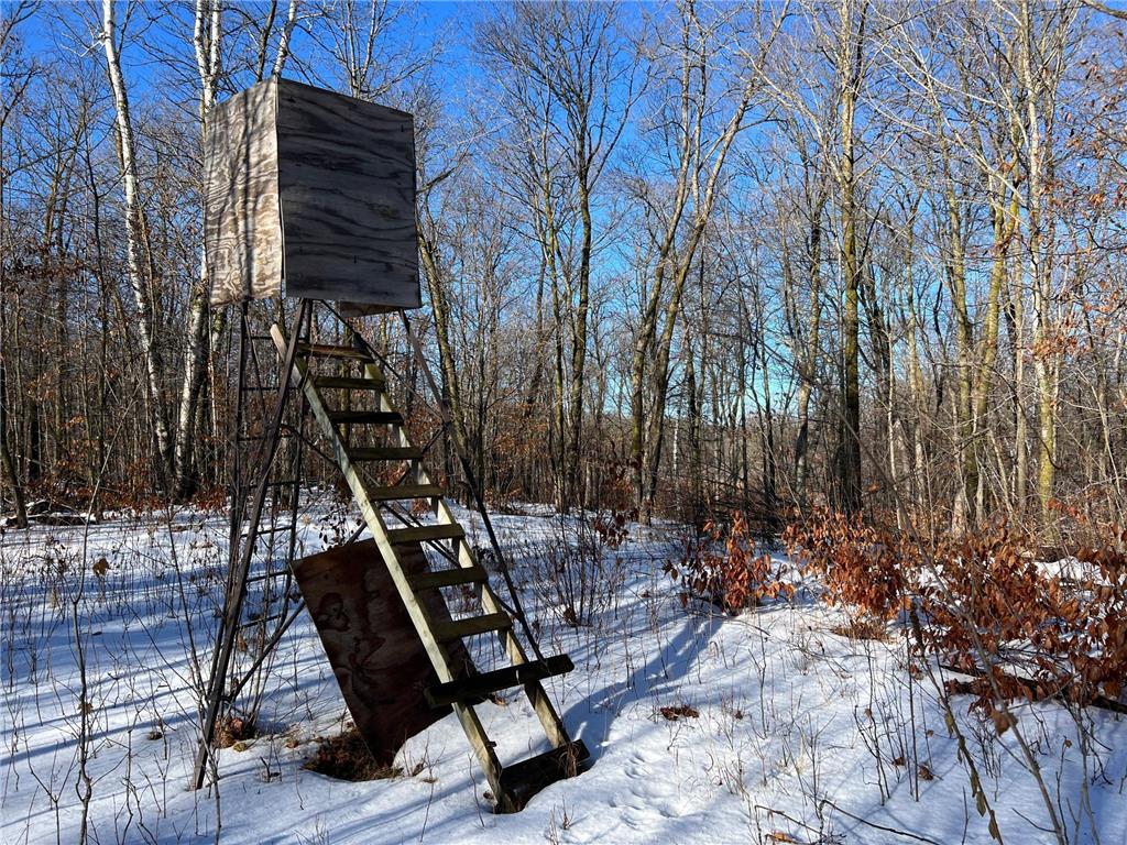 XXXX2 Candor Hall Road Vergas MN 56587 6633894 image1