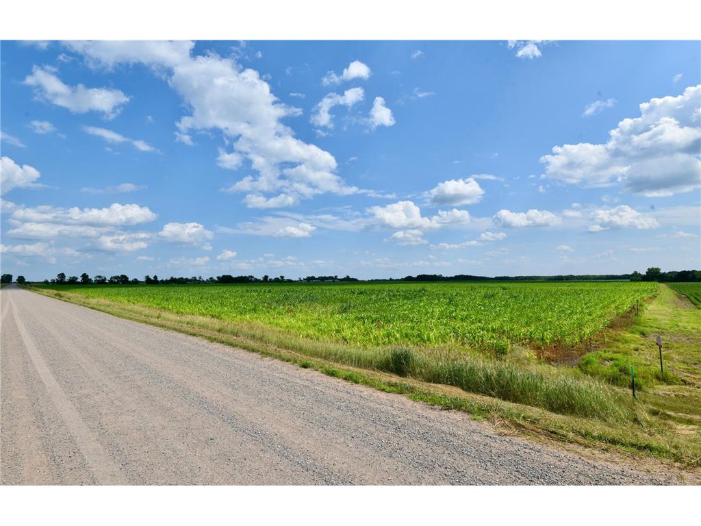 XXXXX 110th (Parcel A) Street Milaca MN 56353 6570471 image1