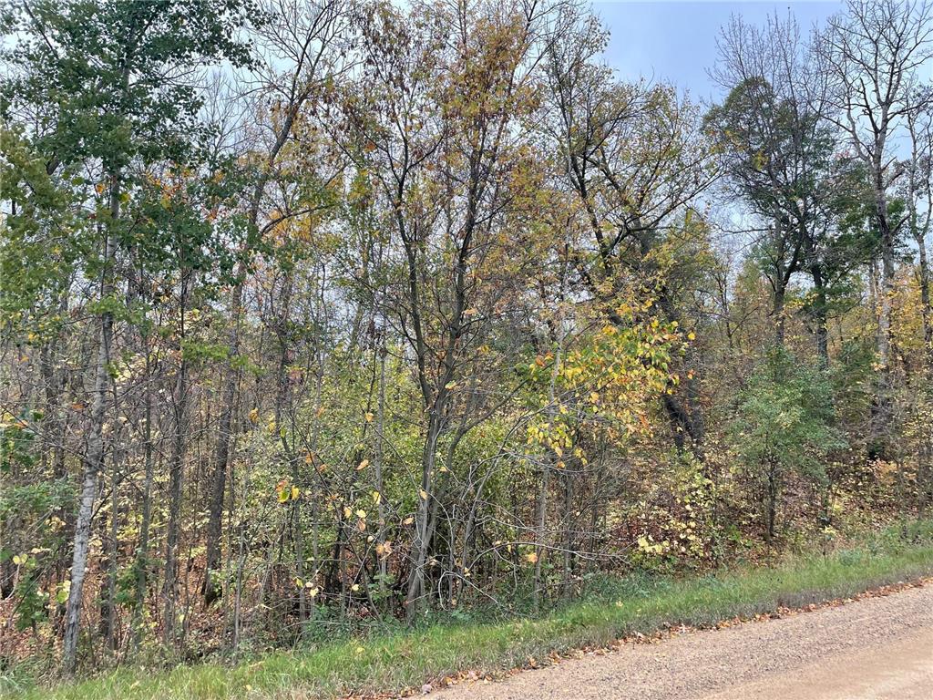 XXXXX 211th Avenue Little Sauk Twp MN 56378 6444050 image1