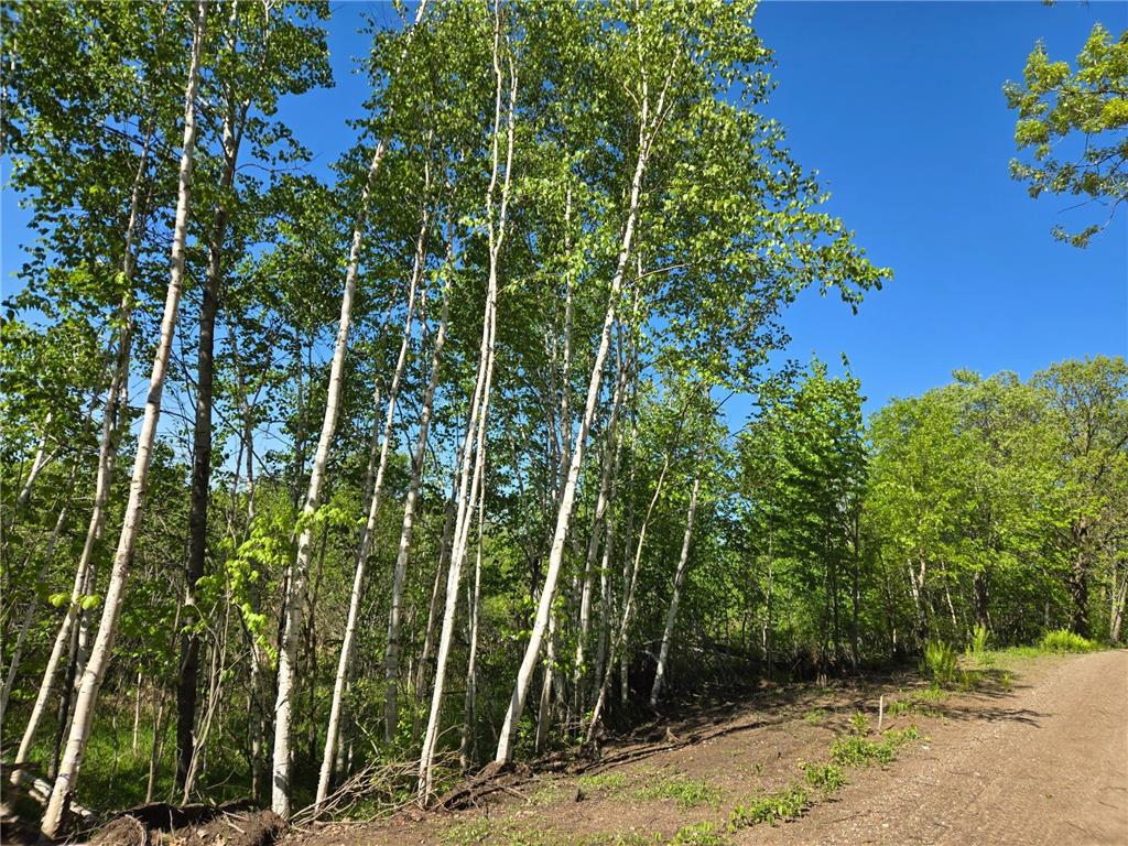 XXXXX 360th Street Onamia MN 56359 6794513 image1