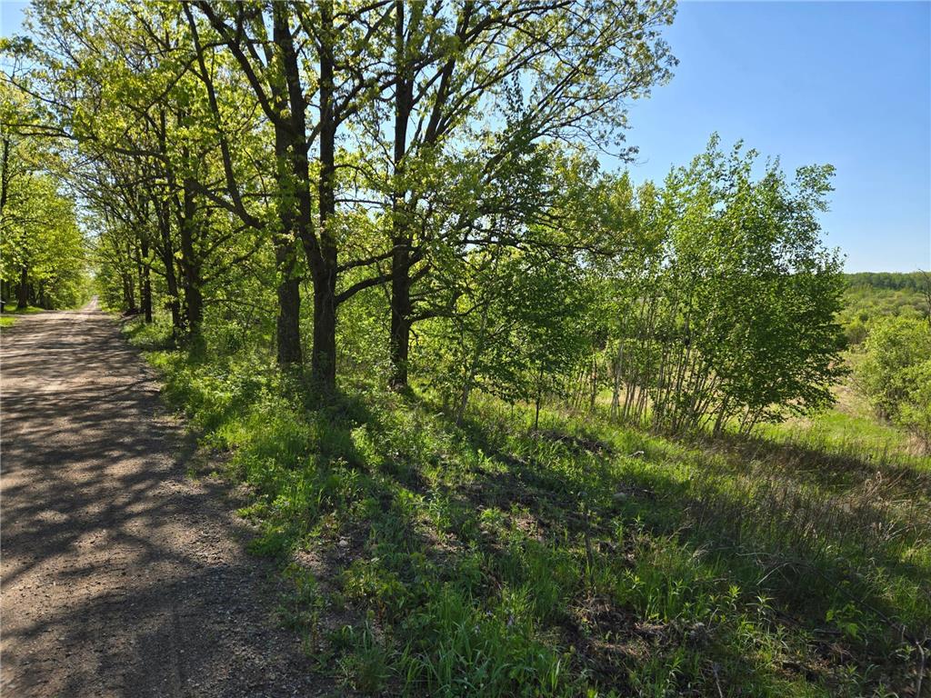 XXXXX 360th Street Onamia MN 56359 6794513 image2