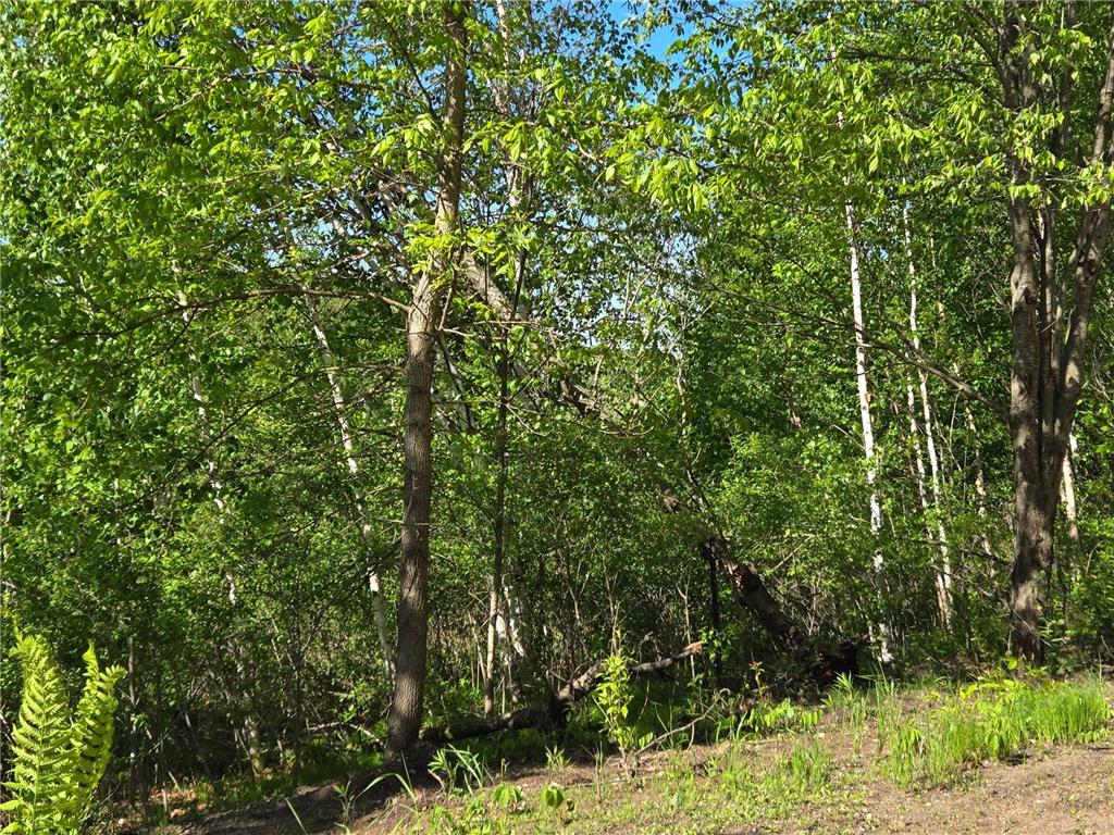 XXXXX 360th Street Onamia MN 56359 6794513 image3