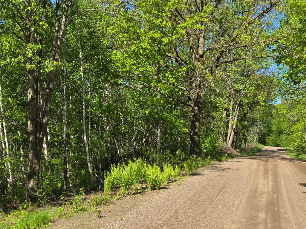 XXXXX 360th Street Onamia MN 56359 6794513 image4