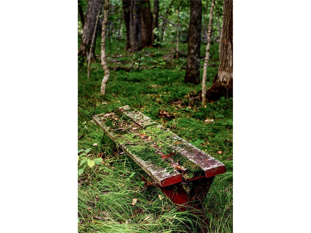 XXXXX 407th Street Dent MN 56528 - East Silent 7092946 image13