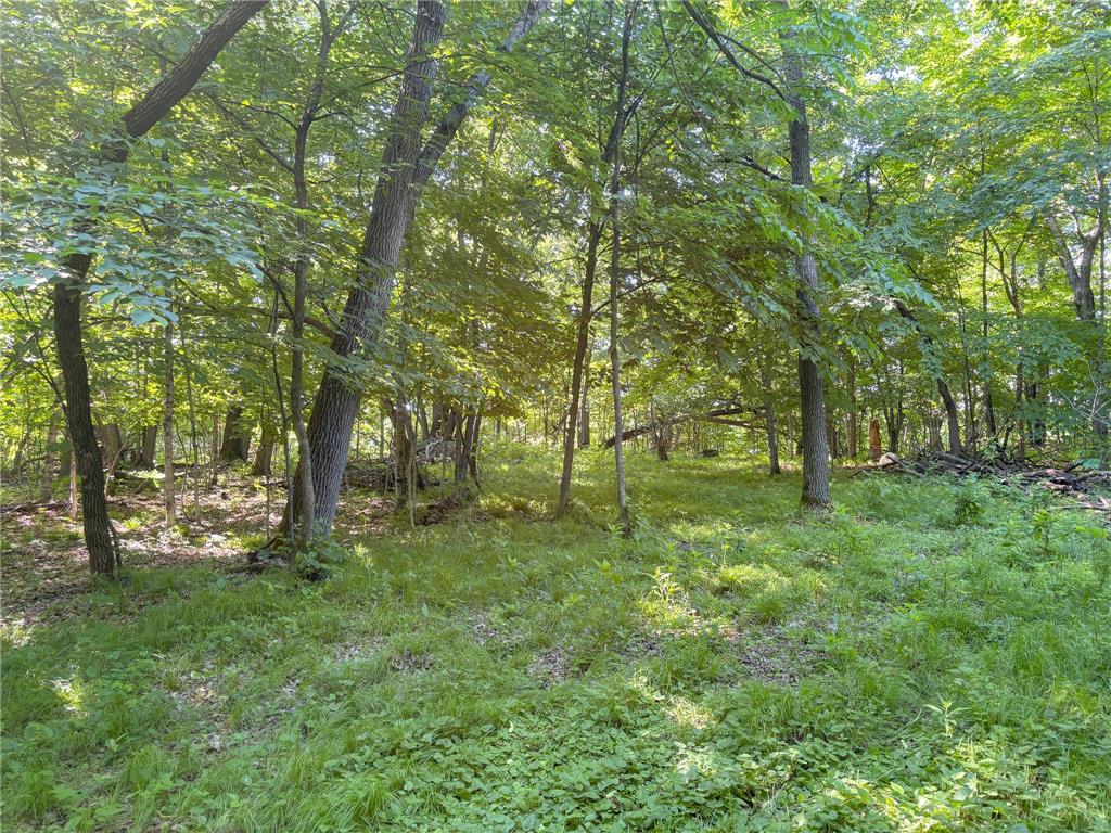 XXXXX 407th Street Dent MN 56528 - East Silent 7092946 image14