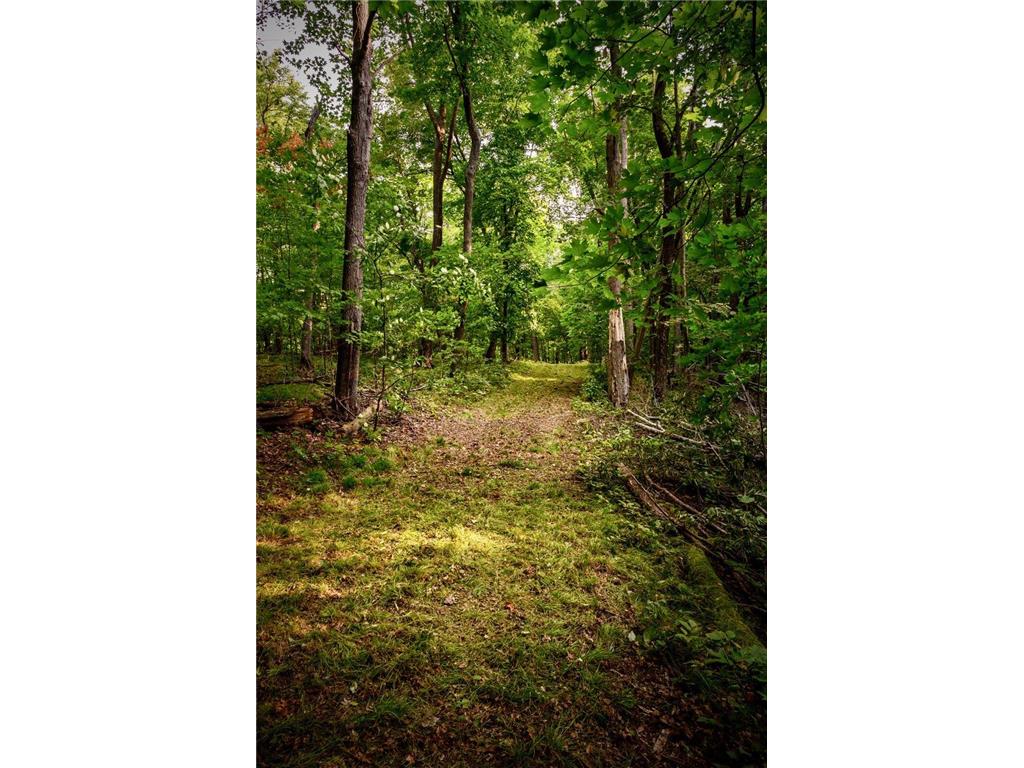 XXXXX 407th Street Dent MN 56528 - East Silent 7092946 image37