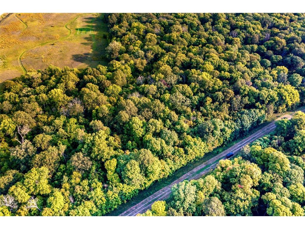 XXXXX 407th Street Dent MN 56528 - East Silent 7092946 image5