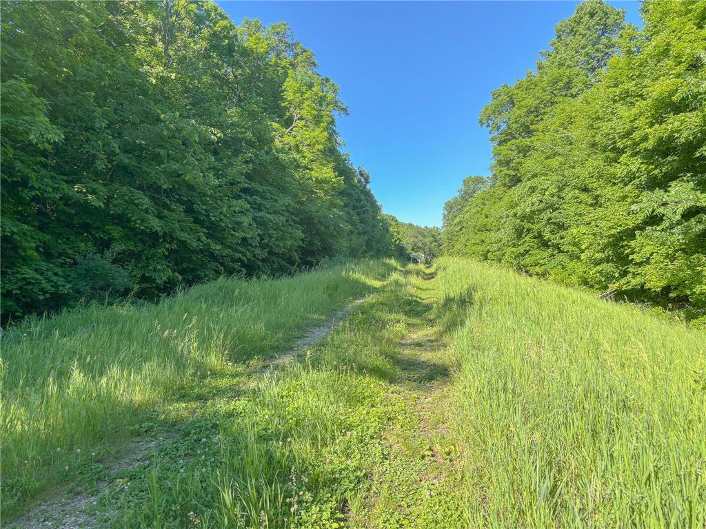 XXXXX 407th Street Dent MN 56528 - East Silent 7092946 image7