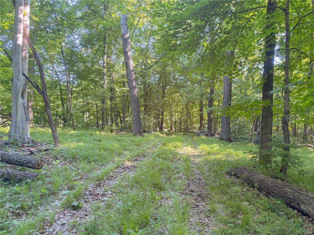 XXXXX 407th Street Dent MN 56528 - East Silent 7092946 image8