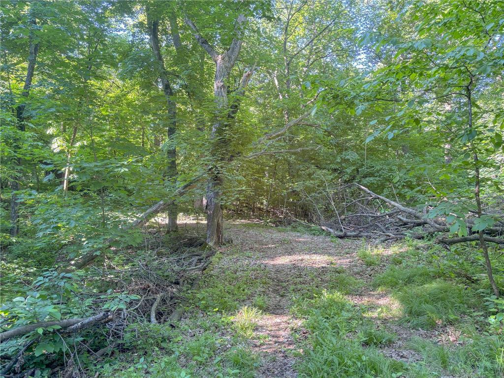 XXXXX 407th Street Dent MN 56528 - East Silent 7092946 image9