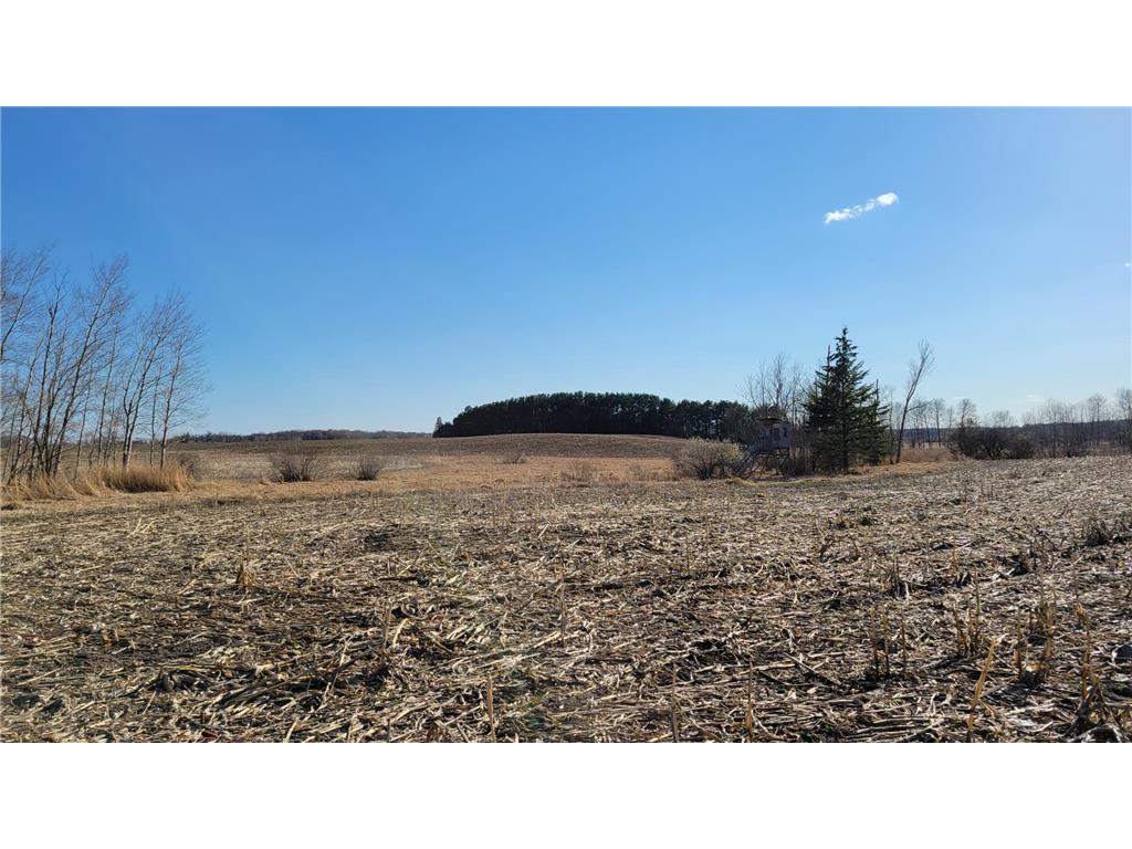 XXXXX 510th Street Corliss Twp MN 56573 6362577 image1