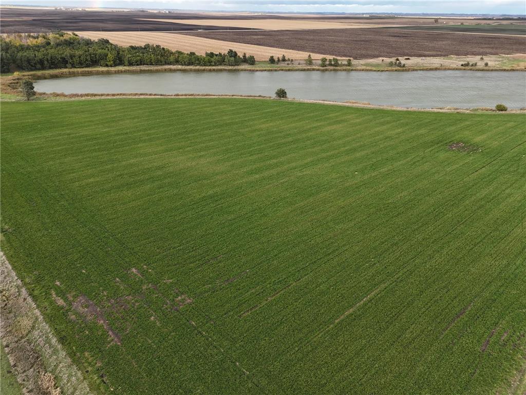 XXXXX 540th Avenue Synnes Twp MN 56207 6809301 image3