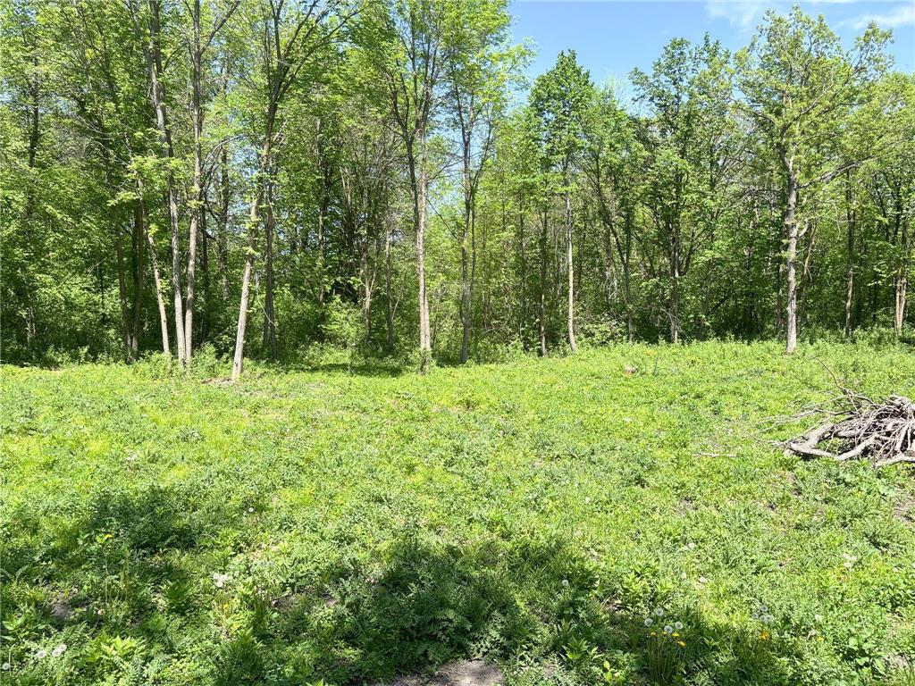 XXXXX Co Hwy 35 Underwood MN 56586 7007571 image16