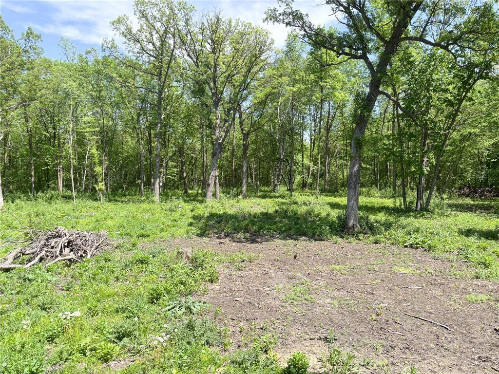 XXXXX Co Hwy 35 Underwood MN 56586 7007571 image17