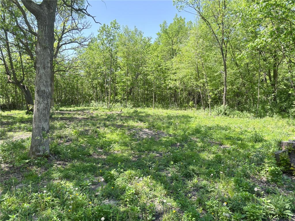 XXXXX Co Hwy 35 Underwood MN 56586 7007571 image18