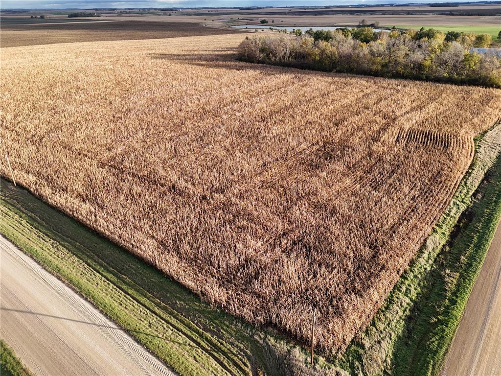 XXXXX County Rd 4 Synnes Twp MN 56207 6809281 image3