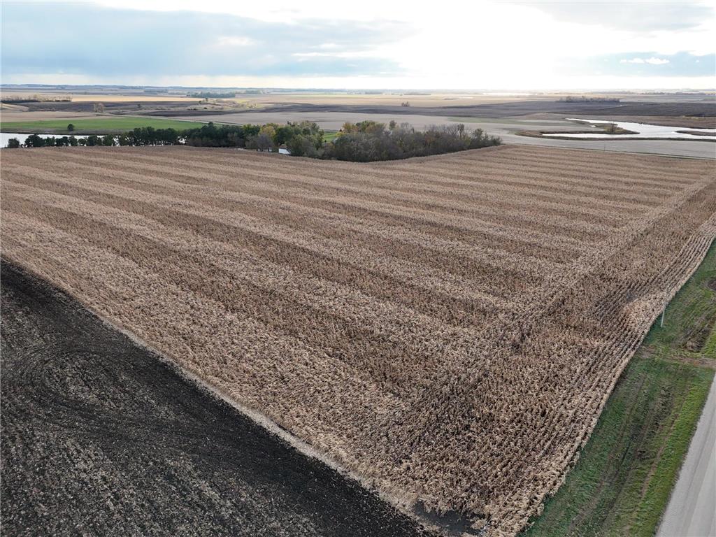 XXXXX County Rd 4 Synnes Twp MN 56207 6809281 image6