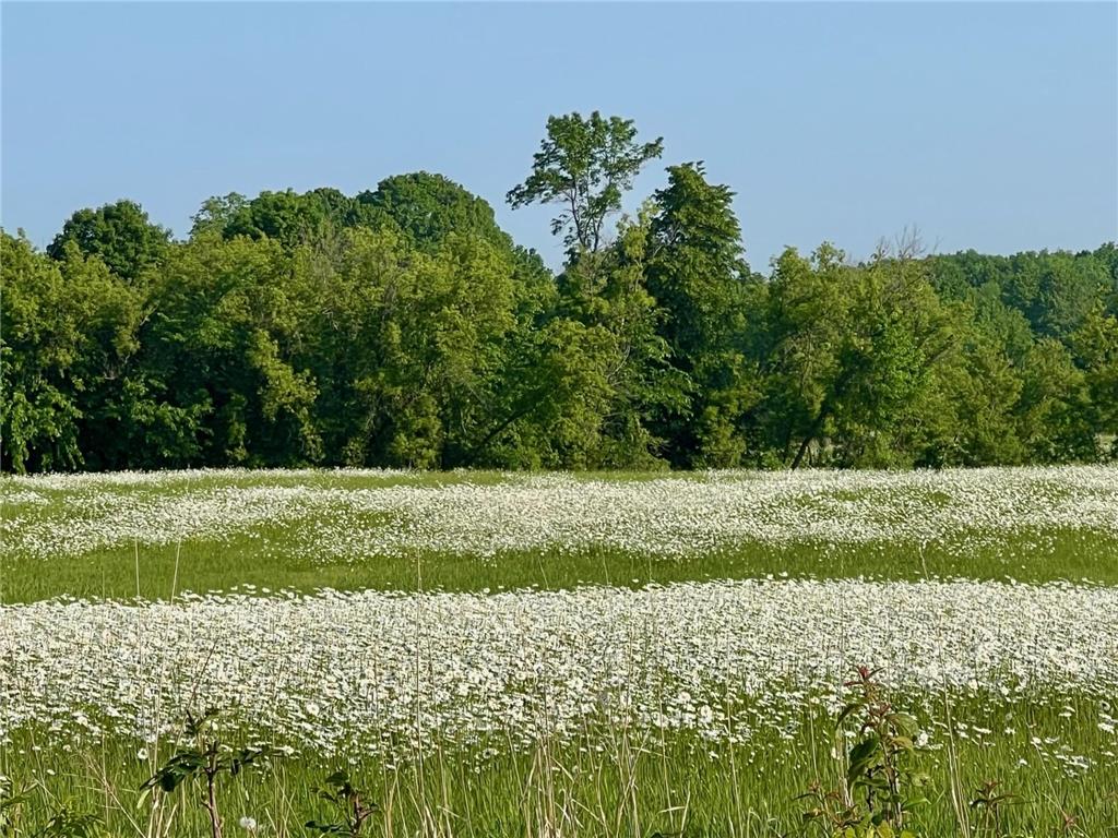 XXXXX County Road Z Trade Lake WI 54840 6695550 image10