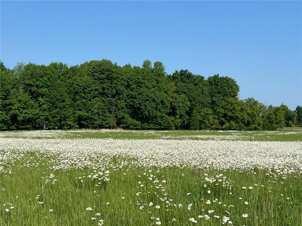 XXXXX County Road Z Trade Lake WI 54840 6695550 image11