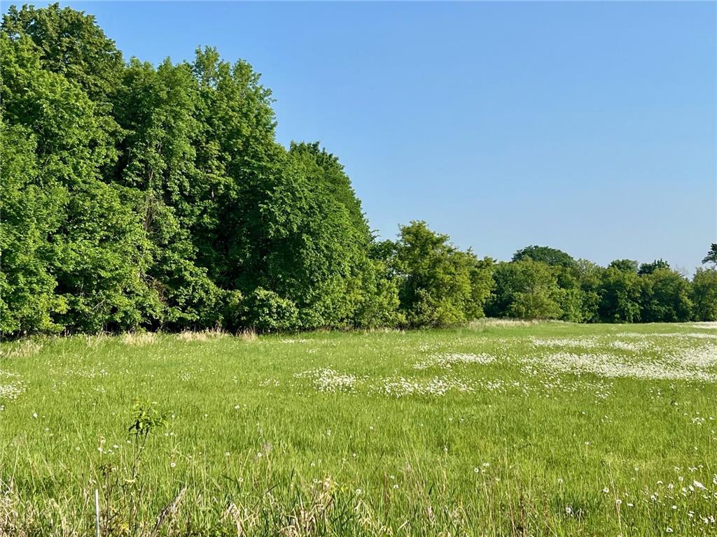 XXXXX County Road Z Trade Lake WI 54840 6695550 image12