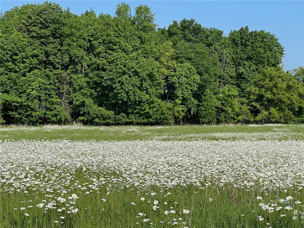 XXXXX County Road Z Trade Lake WI 54840 6695550 image15