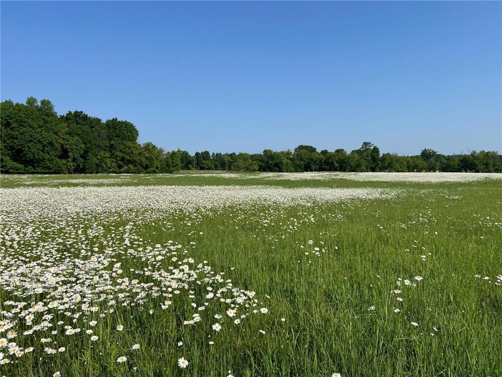 XXXXX County Road Z Trade Lake WI 54840 6695550 image16