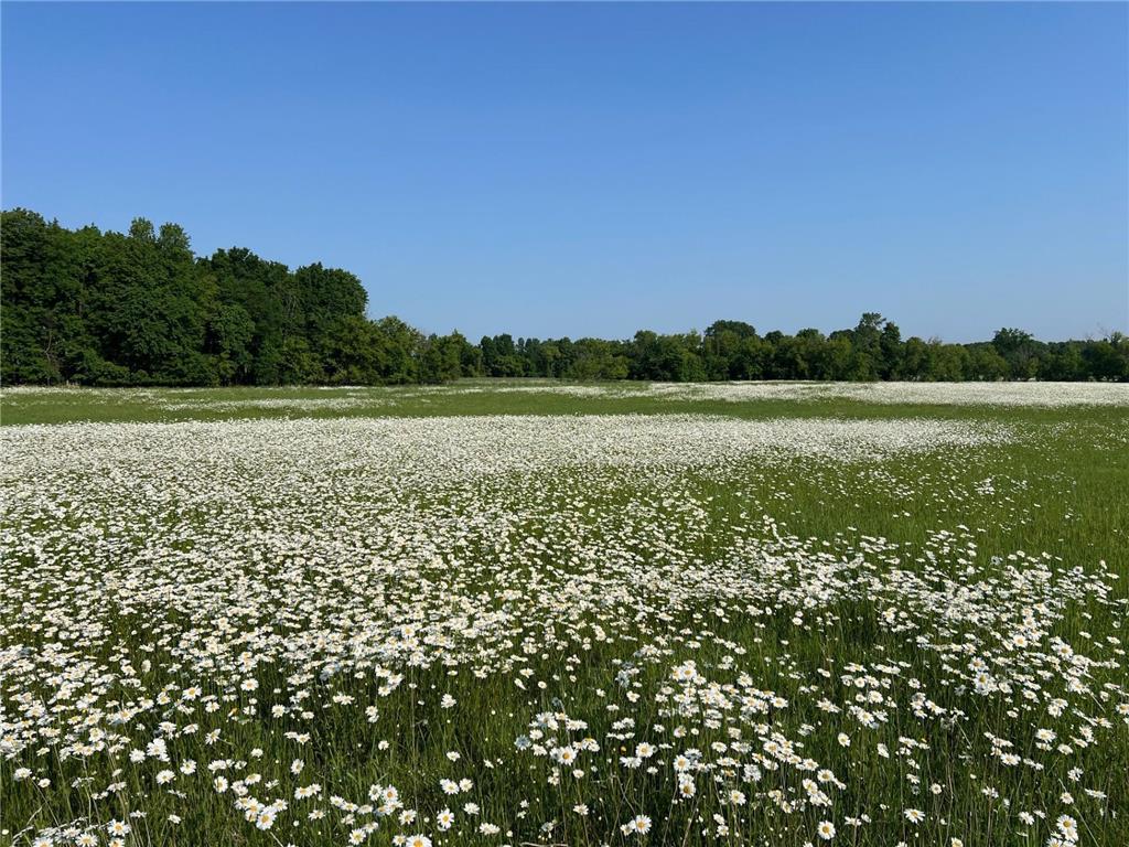 XXXXX County Road Z Trade Lake WI 54840 6695550 image17