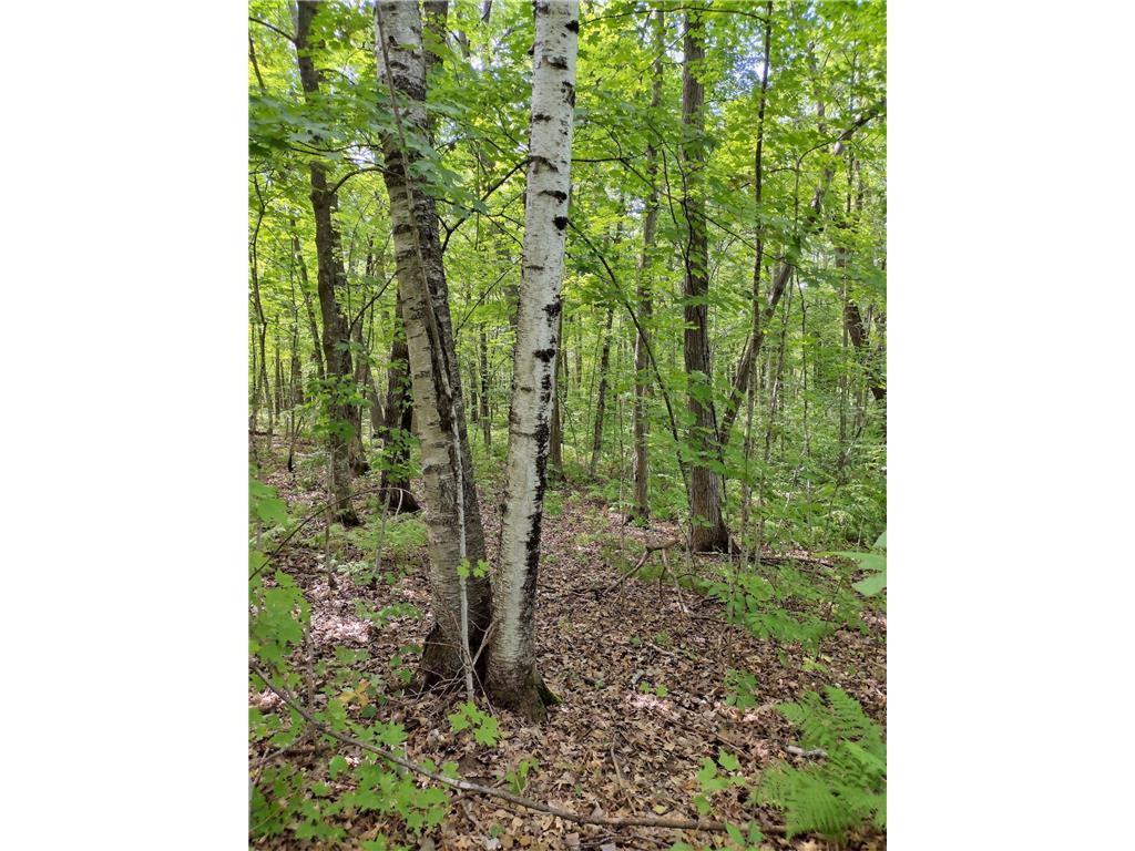 XXXXX Dunn Avenue South Harbor Twp MN 56359 6430008 image1