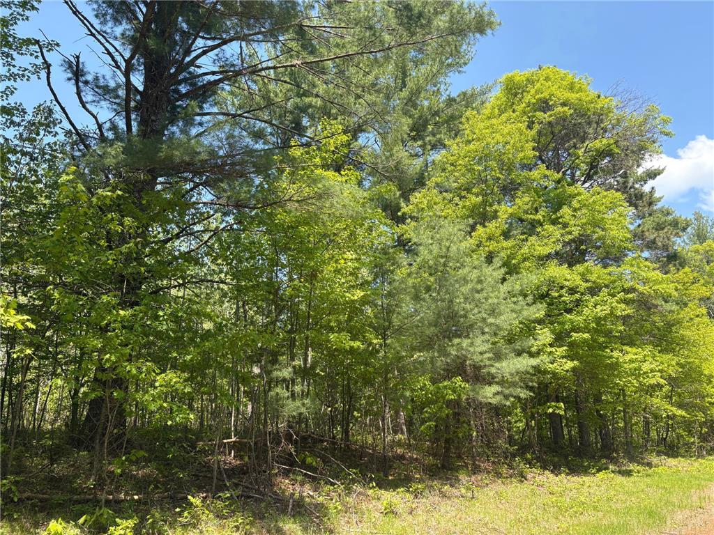 XXXXX Eagle Drive Jackson Twp WI 54830 6728511 image4