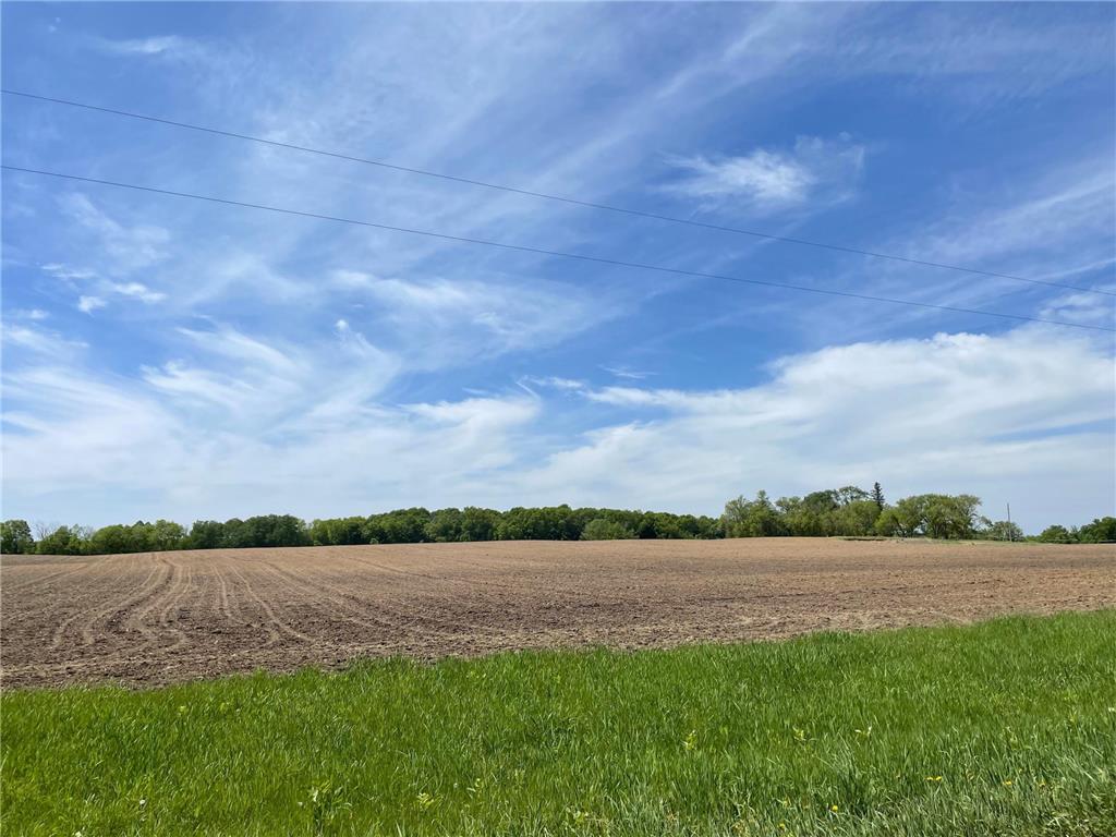 XXXXX Echo Drive Long Prairie MN 56347 6099710 image1