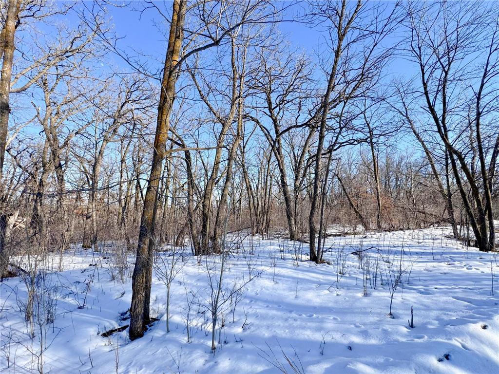 XXXXX German Lake Road Underwood MN 56586 7028045 image11