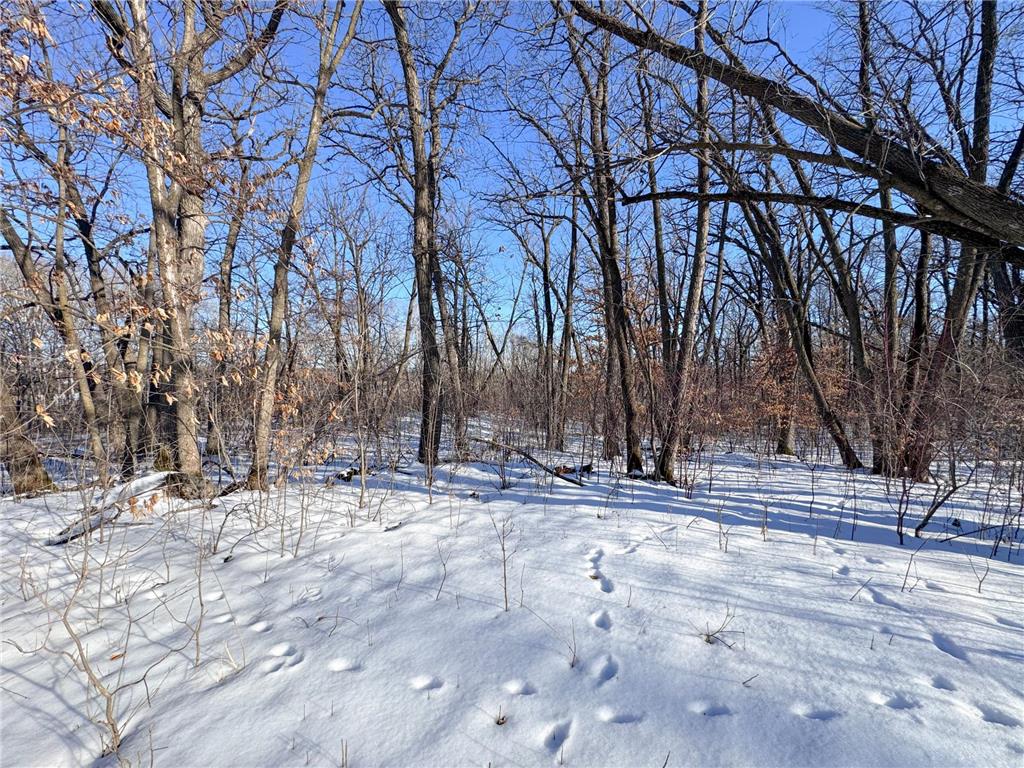 XXXXX German Lake Road Underwood MN 56586 7028045 image13