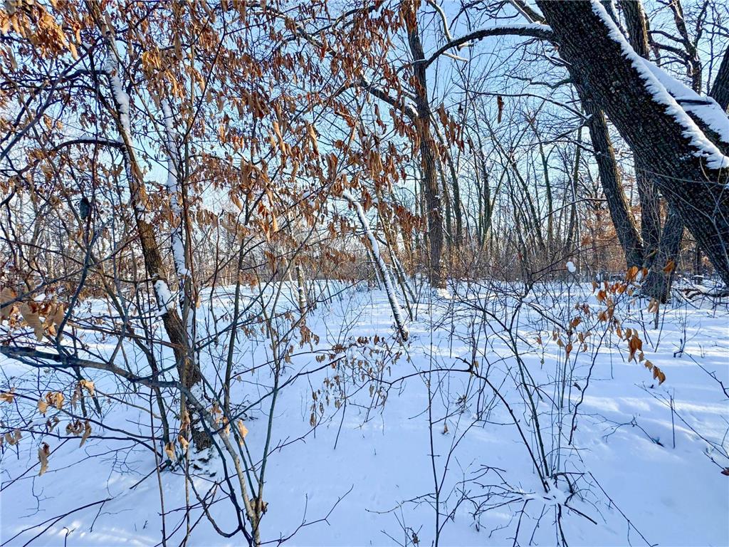 XXXXX German Lake Road Underwood MN 56586 7028045 image14