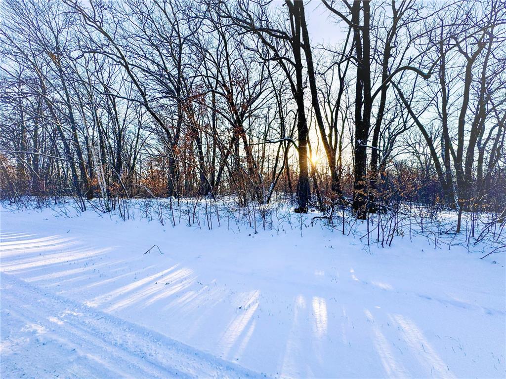XXXXX German Lake Road Underwood MN 56586 7028045 image3